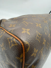 Louis Vuitton Speedy 30 Monogram