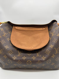 Louis Vuitton speedy 30 monograma canvas
