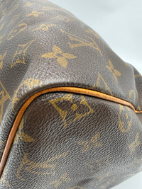 Louis Vuitton Speedy 30 Monogram
