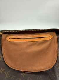 Louis Vuitton Speedy 25 Monogram