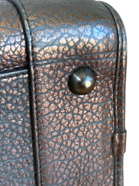 Loewe Amazona 36 Piel granulada Metalizada