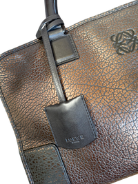 Loewe Amazona 36 Piel granulada Metalizada