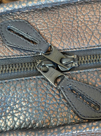 Loewe Amazona 36 Piel granulada Metalizada