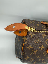 Louis Vuitton Speedy 30 Monogram