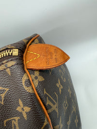 Louis Vuitton Speedy 30 Monogram