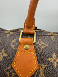 Louis Vuitton Speedy 30 Monogram