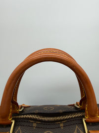 Louis Vuitton Speedy 30 Monogram