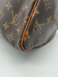 Louis Vuitton Speedy 30 Monogram