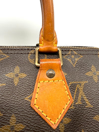 Louis Vuitton Speedy 25 Lona Monogram