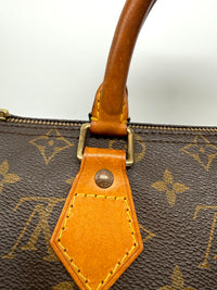 Louis Vuitton Speedy 25 Lona Monogram