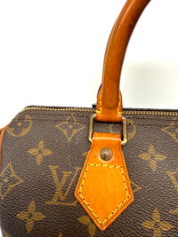Louis Vuitton Speedy 25 Lona Monogram