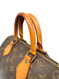 Louis Vuitton Speedy 25 Lona Monogram