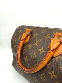Louis Vuitton Speedy 25 Lona Monogram
