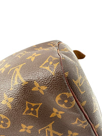 Louis Vuitton Speedy 25 Lona Monogram